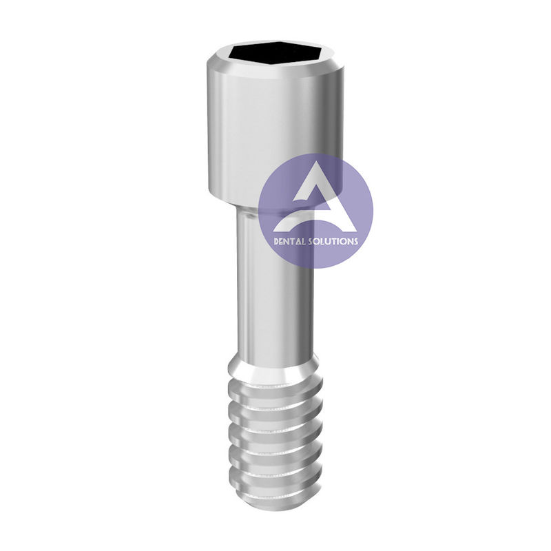 Next 5x Dental Lab Abutment T-Base For MIS Conical C1 V3 NP - Titanium + Screws